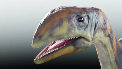 Sky News - Мартин Лютер - В Гренландии обнаружили динозавра, который жил 214 миллионов лет назад - unn.com.ua - Украина - Киев - Германия - Дания - Португалия - Гренландия
