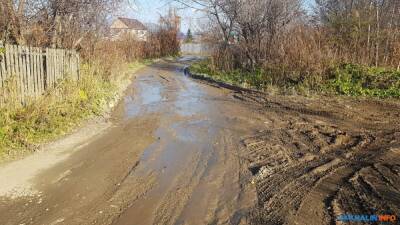 Берегоукрепление ручья Маяковского разрушает дороги в СНТ