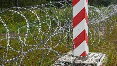Режим ЧС на границе Литвы и Белоруссии вступил в силу