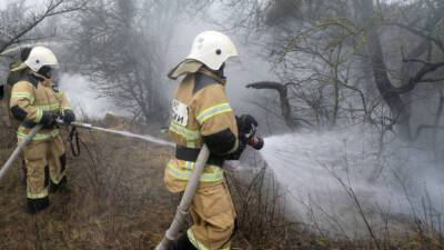В России потушили все действующие лесные пожары