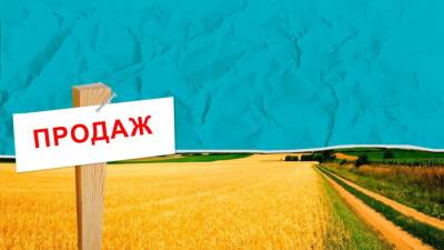 Лещенко рассказал, сколько гектар в Украине продали с момента старта рынка земли