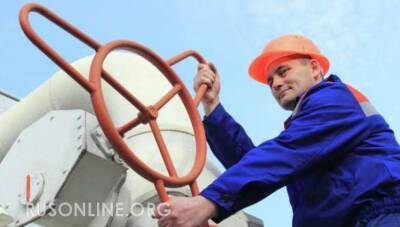 «Если кто-то не платит, ему отключают газ»: депутат Бундестага об Украине и «СП-2»