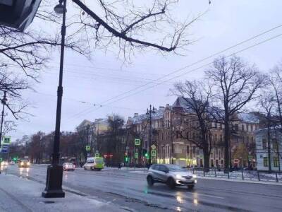 В Петербурге потеплеет до плюс семи