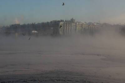 В среду в Петербурге ожидаются сильный ветер и гололедица