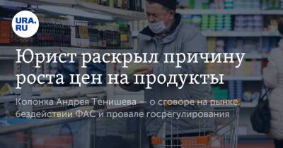 Екатерина Сычкова - Андрей Тенишев - Юрист раскрыл причину роста цен на продукты - ura.news - Россия