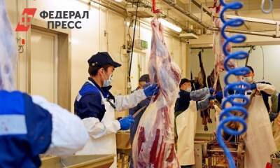 20 тысяч оленей полуострова Ямал отправят на убой