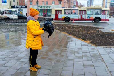 В Челябинской области до +5, дожди и мокрый снег