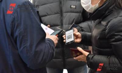 На Среднем Урале решат, нужен ли паспорт при предъявлении QR-кода