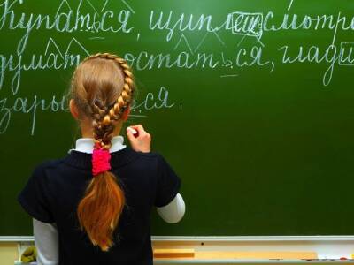 Минпросвещения впервые за 65 лет обновит правила русского языка