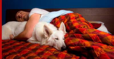 О недостатках и пользе сна в одной кровати с домашними питомцами рассказали эксперты