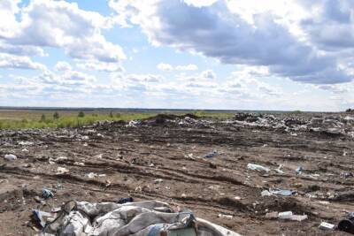В Омске ищут деньги на снос мусорного полигона в Советском округе
