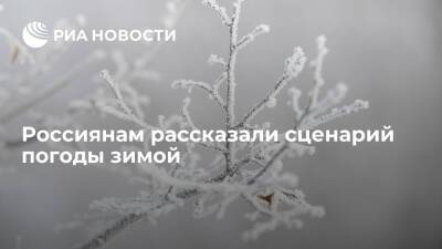 Синоптик Тишковец: зима 2021-2022 будет на два градуса теплее нормы