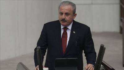 Спикер турецкого парламента призвал ОБСЕ учесть «новые реалии» на Южном Кавказе
