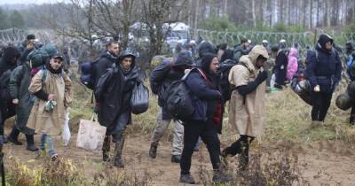 Две большие группы мигрантов прорвались на территорию Польши со стороны Беларуси