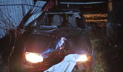 Сегодня после полуночи 18-ти летний водитель сбил двух пешеходов в селе Бызово