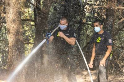 Ночной пожар уничтожил 5 гектаров леса в Западной Галилее