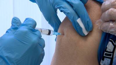 Гинцбург рассказал, можно ли применять назальную вакцину без прививки