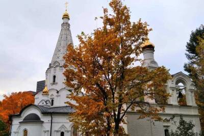 В храме на северо-востоке Москвы хулиган избил прихожанина