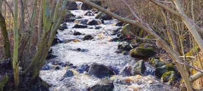 Росводресурсы выделило на очищение реки Неглинки в Петрозаводске более 6,8 миллиона рублей