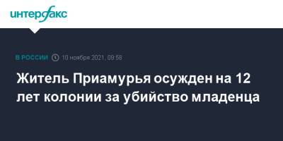 Житель Приамурья осужден на 12 лет колонии за убийство младенца