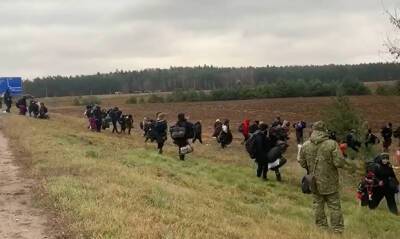 В Польше за пособничество нелегальным мигрантам задержали российского гражданина