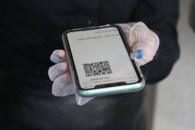 В России обсуждают введение QR-кодов в самолетах и поездах