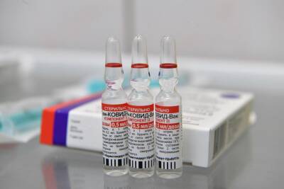 304 беременных женщины Удмуртии поставили прививку от коронавируса