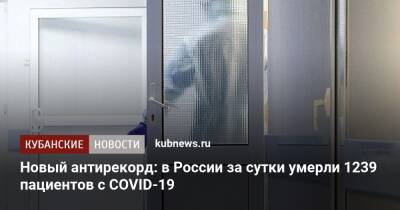 Новый антирекорд: в России за сутки умерли 1239 пациентов с COVID-19