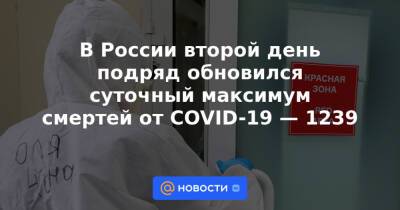 В России второй день подряд обновился суточный максимум смертей от COVID-19 — 1239