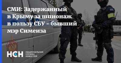 СМИ: Задержанный в Крыму за шпионаж в пользу СБУ - бывший мэр Симеиза