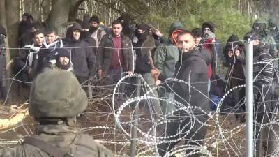 Польша заявила о почти 600 попытках нелегального перехода границы мигрантами