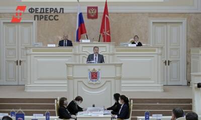 Депутаты Петербурга поддержали проект закона о территориальной обороне - fedpress.ru - Санкт-Петербург