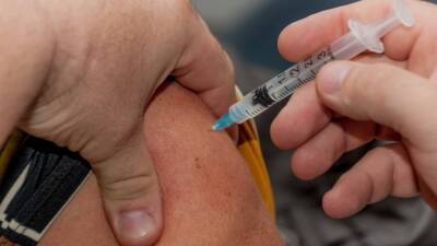 Гинцбург заявил, что вакцинация позволит предотвратить новые волны коронавируса