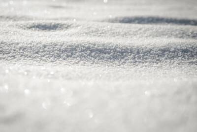 Жителей нескольких районов Кубани предупредили о сильном налипании снега