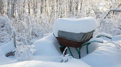 Как правильно подготовить садовый инструмент к зиме: 6 шагов по закрытию сезона
