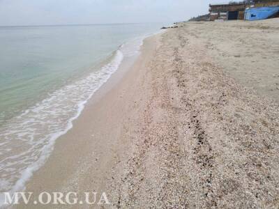 Пляжи Кирилловки оккупировали зеленые шарики: биологи рассказали, нужно ли переживать