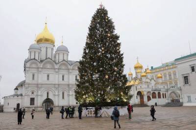 Выбрана главная новогодняя елка России