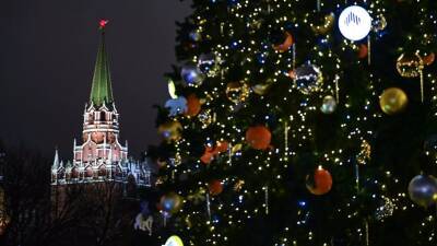 Соборную площадь Кремля в этом году украсит 90-летняя ёлка из Подмосковья