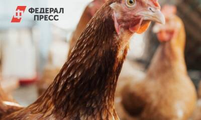 Деятельность Боровской птицефабрики приостановят до весны