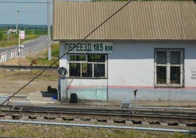 Под Рязанью временно закрыли железнодорожный переезд