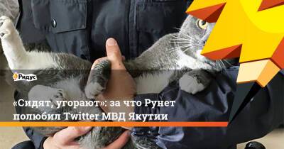 «Сидят, угорают»: зачто Рунет полюбил Twitter МВД Якутии