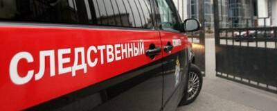 В Якутске расследуют два уголовных дела по факту убийства 2-летнего ребенка