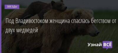 Под Владивостоком женщина спаслась бегством от двух медведей