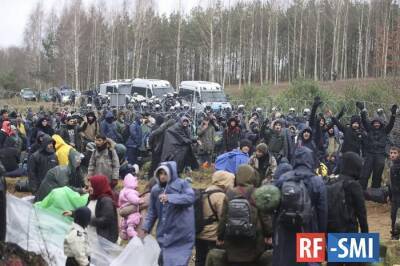 В Бундестаге предложили перенаправить мигрантов в Украину