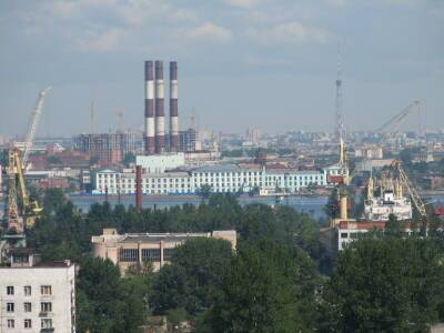 Стало известно, что санитарный контроль в Петербурге не влияет на поставки на заводы