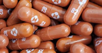 EMA проведет ускоренную проверку таблеток от Covid-19