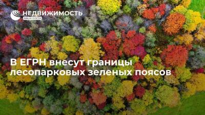 В ЕГРН внесут границы лесопарковых зеленых поясов - realty.ria.ru - Москва
