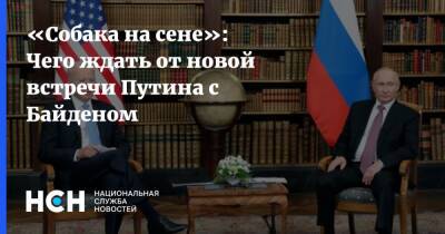 «Собака на сене»: Чего ждать от новой встречи Путина с Байденом