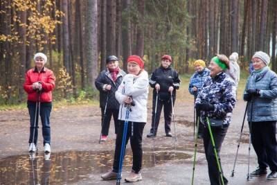 Жителей Олонца обучат азам скандинавской ходьбы