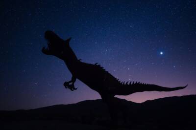 Ученые в Гренландии нашли останки нового вида динозавра